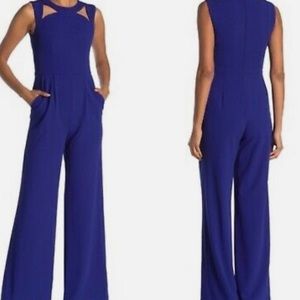 Sexy Blue Calvin Klein Jumpsuit